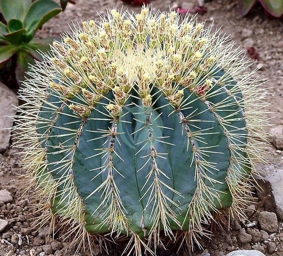 0659fc1394bc877d4160923c4750c04b9f5dd8c5