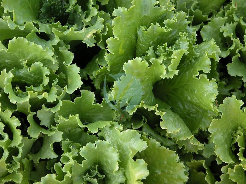 1470391986_66daa57803_b