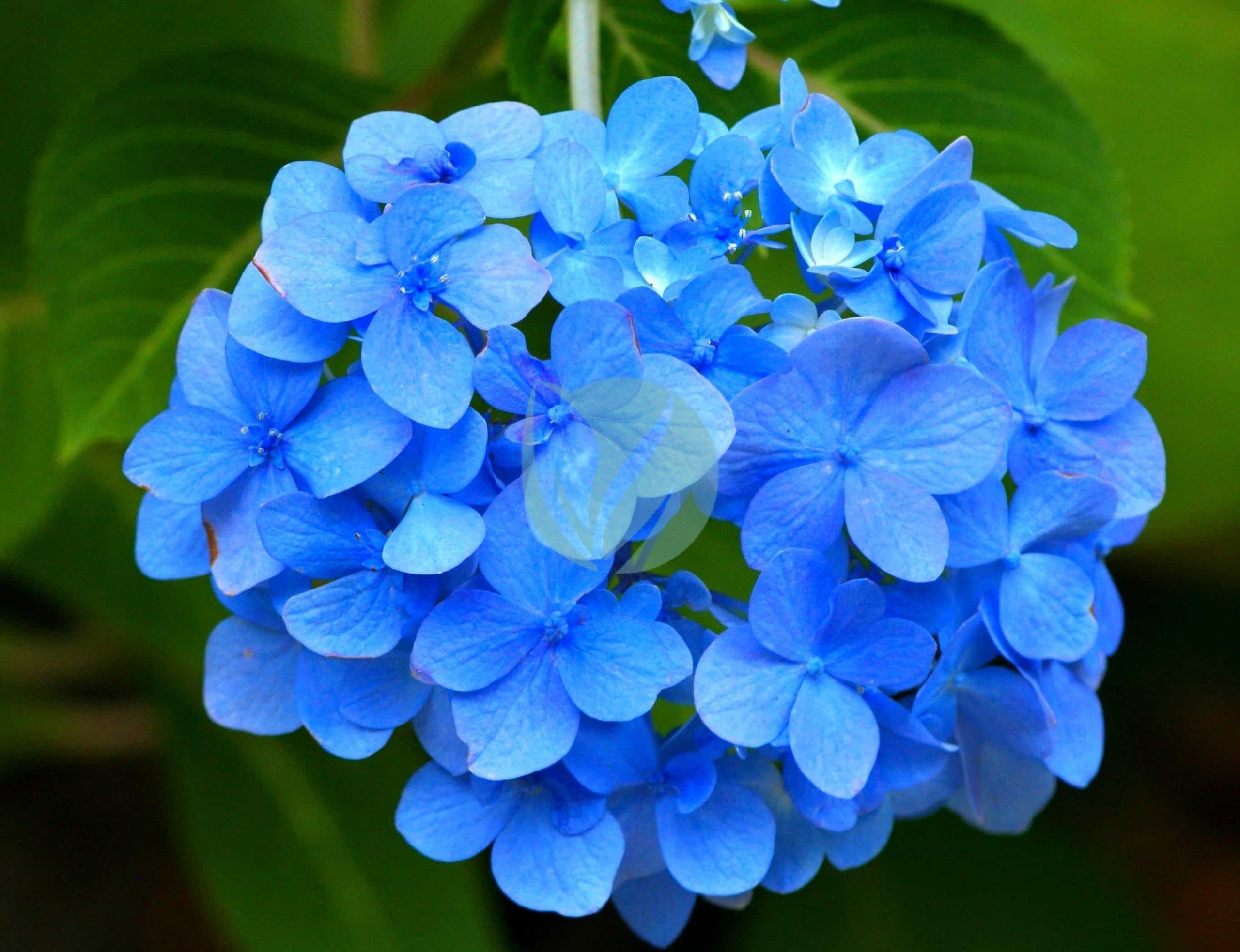 2017-10-14-08-21-26-scaled-1