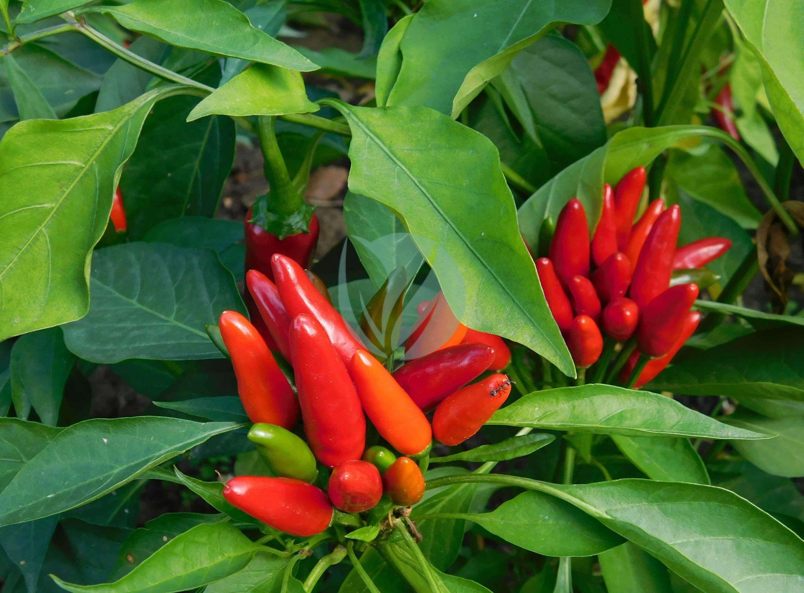 2018-09-27-14-49-54-scaled-1