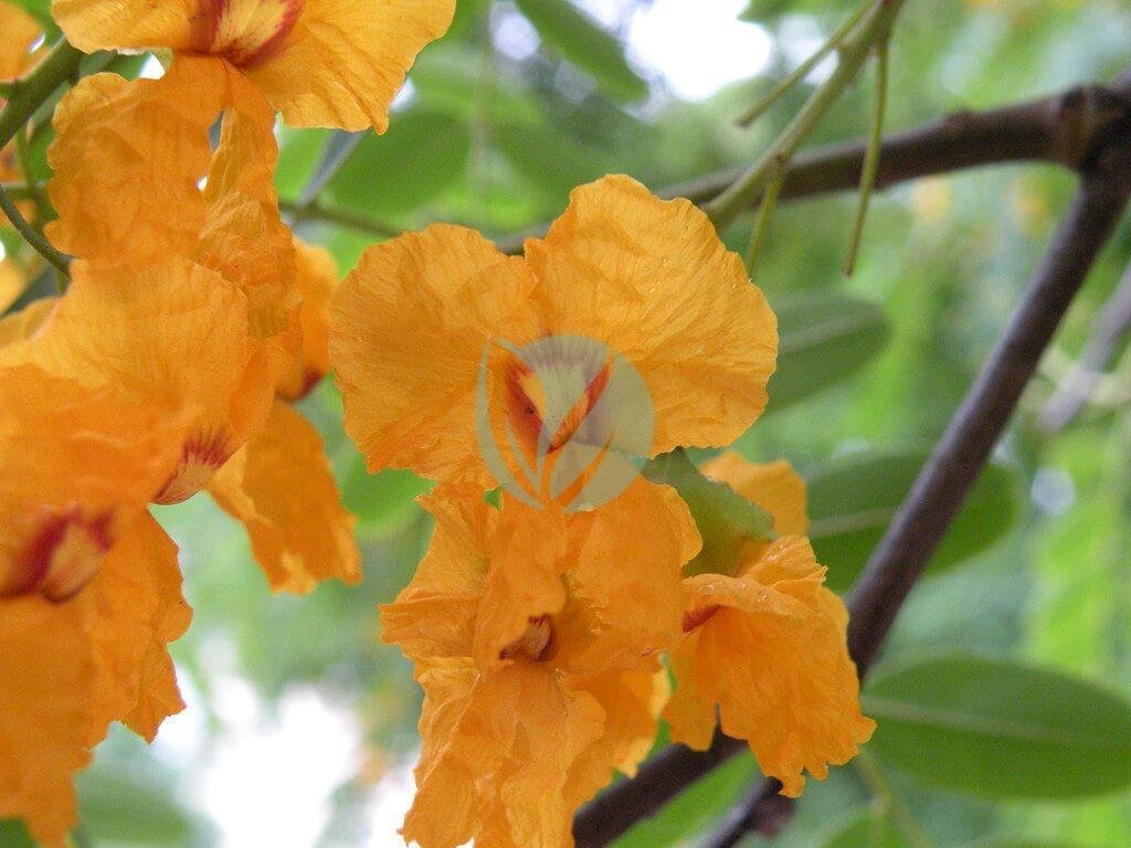 21434898730_cc2805a018_b