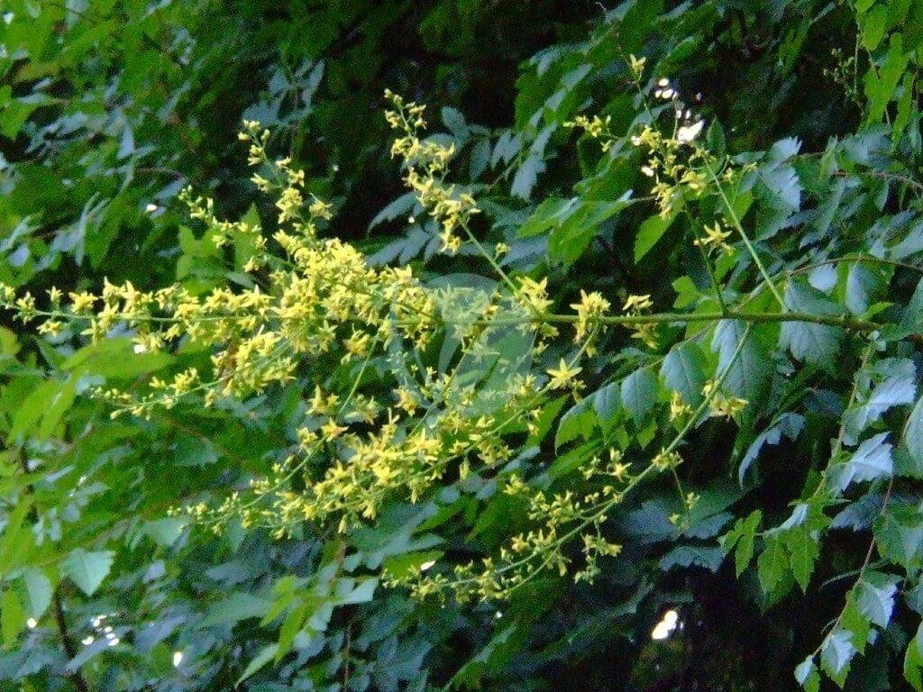 302185489_175cef0a1d_b