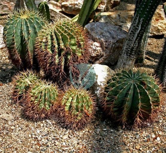 472a424d7ff0d3cbdc245df04a3fc7f8c2c04487-3