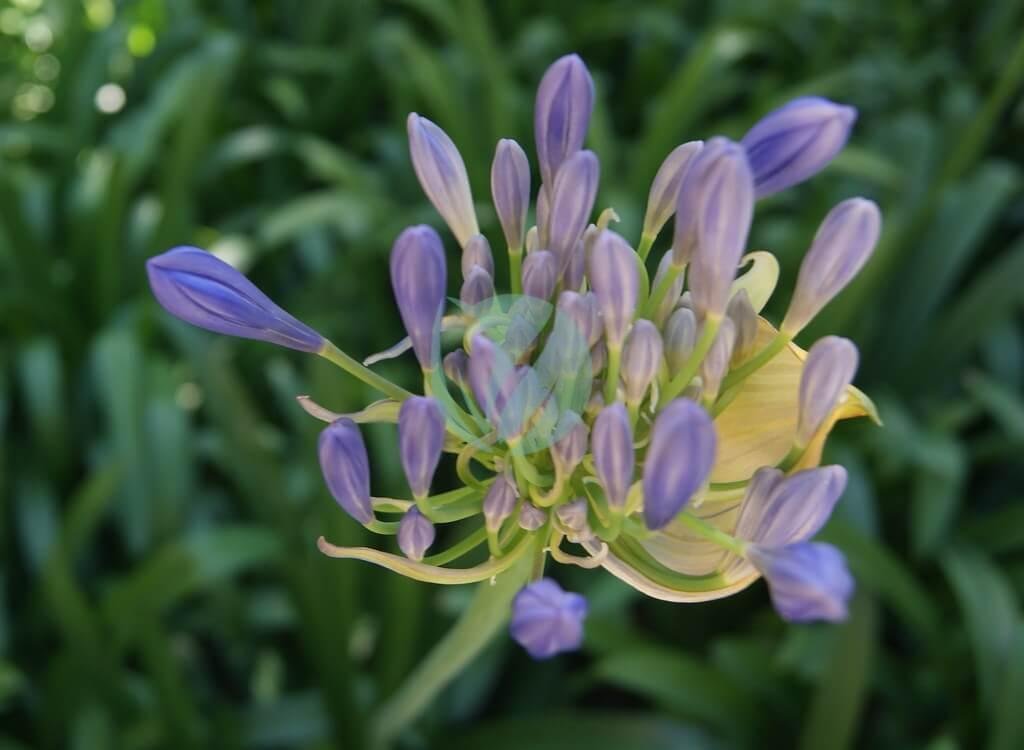 47985663196_9a1c04ce5a_b