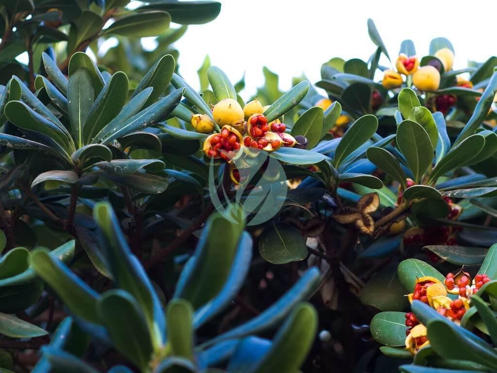 48025928566_03ac59d22a_b