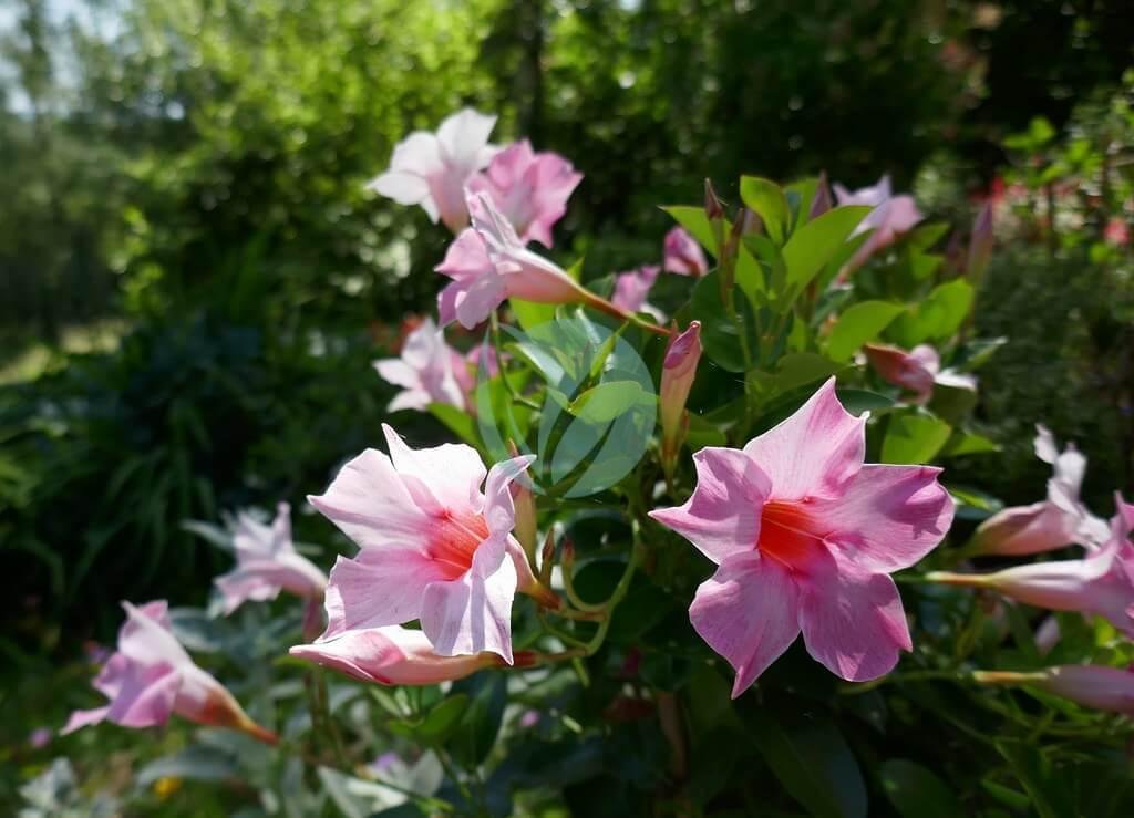 50022221388_689af08b16_b-3