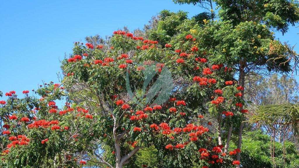 50314622451_d8bb41d62c_b