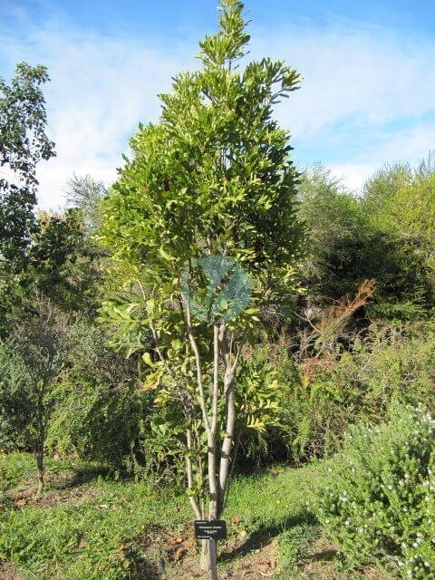 5242445540_7e64572002_z