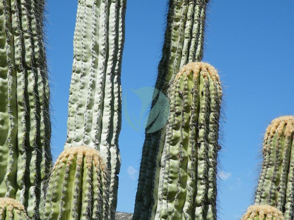 5753605439_66729964bc_b-1