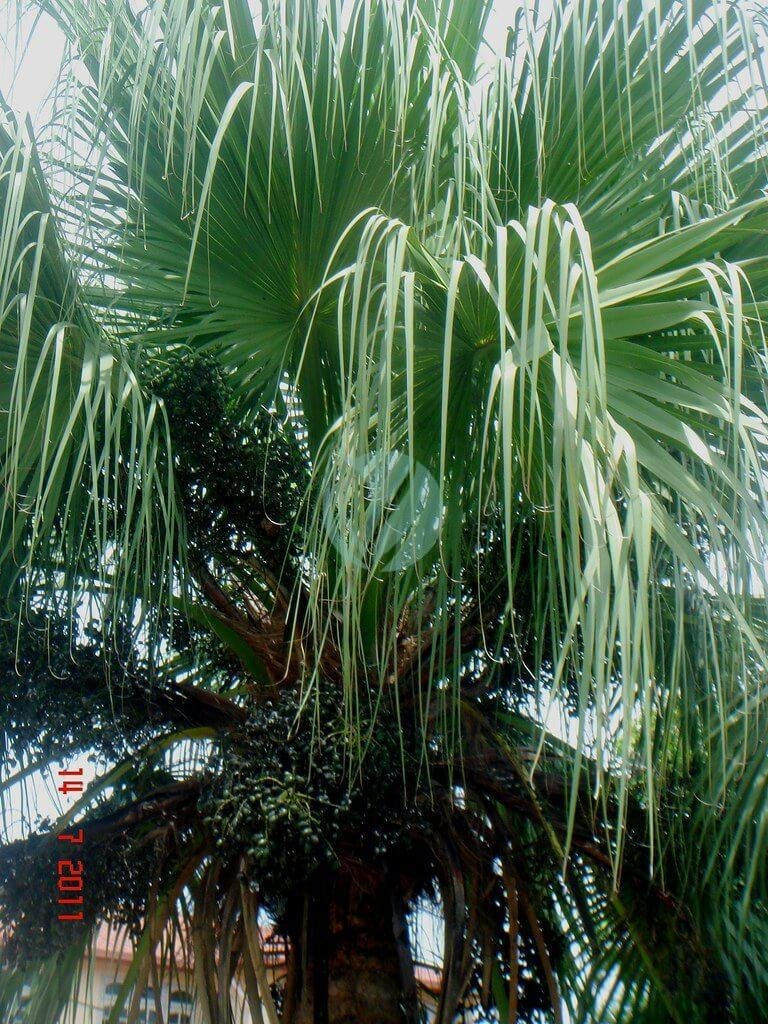 5970205320_13dc7951bd_b