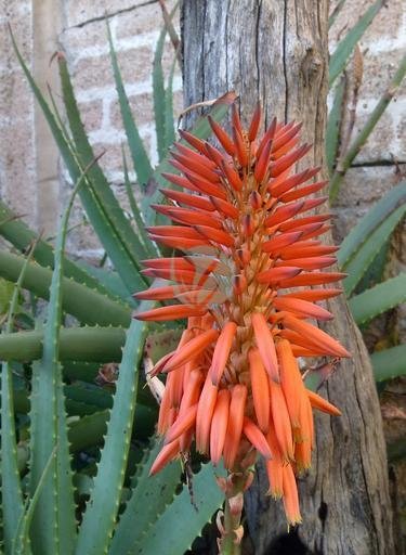 6065b0448d43a41292fc25c5db026f88ecc3b254-3