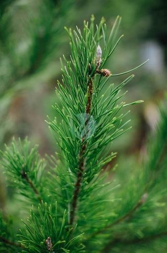 61454891cc56edcaee8a794a4a999d9605886ecb