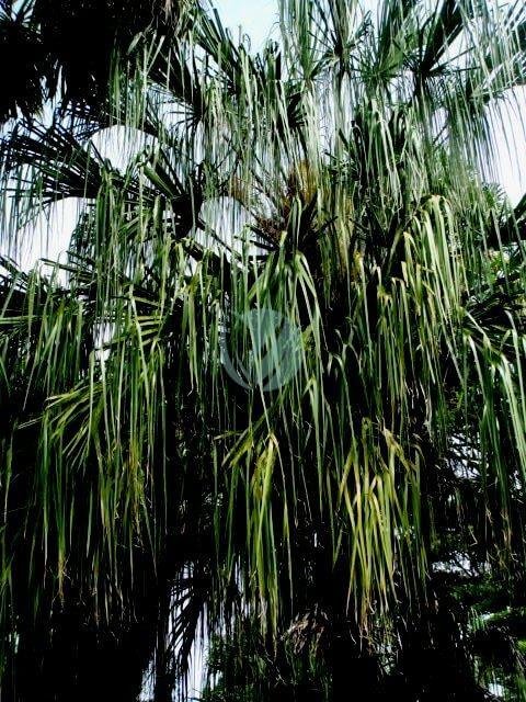 6148937962_a1c989e635_z