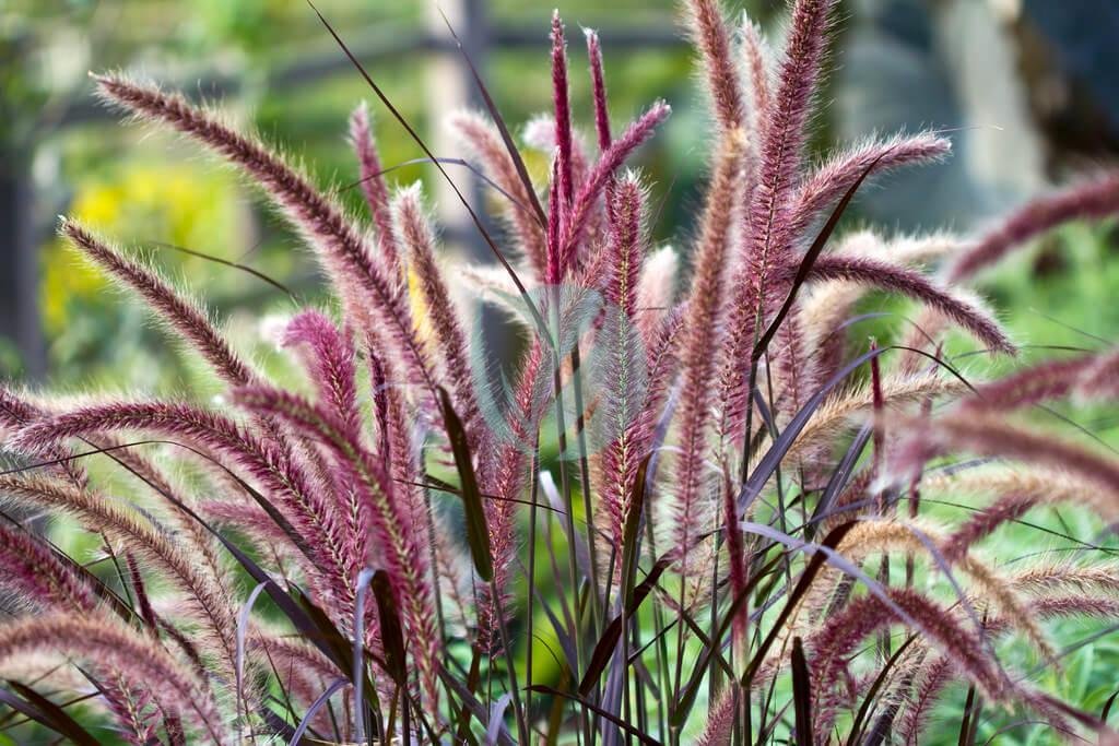 7751079250_ffd7f0fa84_b-3