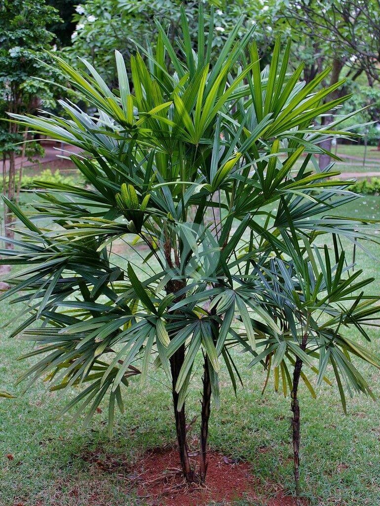 8150725691_882b36464d_b