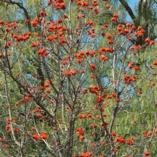 8618016088_bcc290002d_b-320×320-11