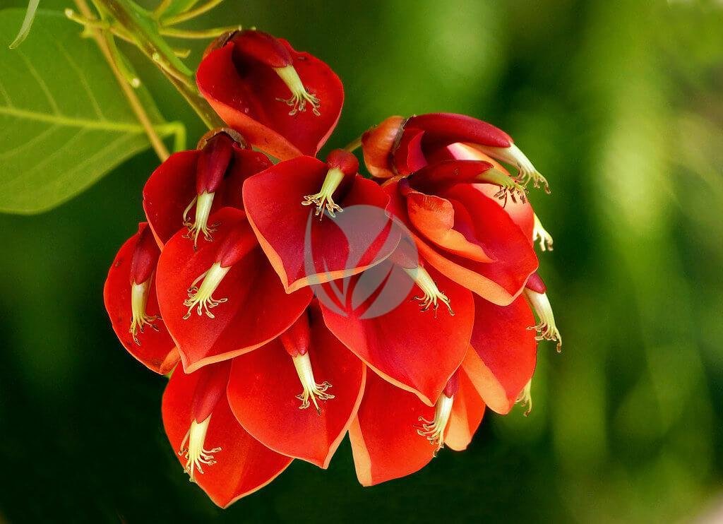 8713875184_999bd061b1_b