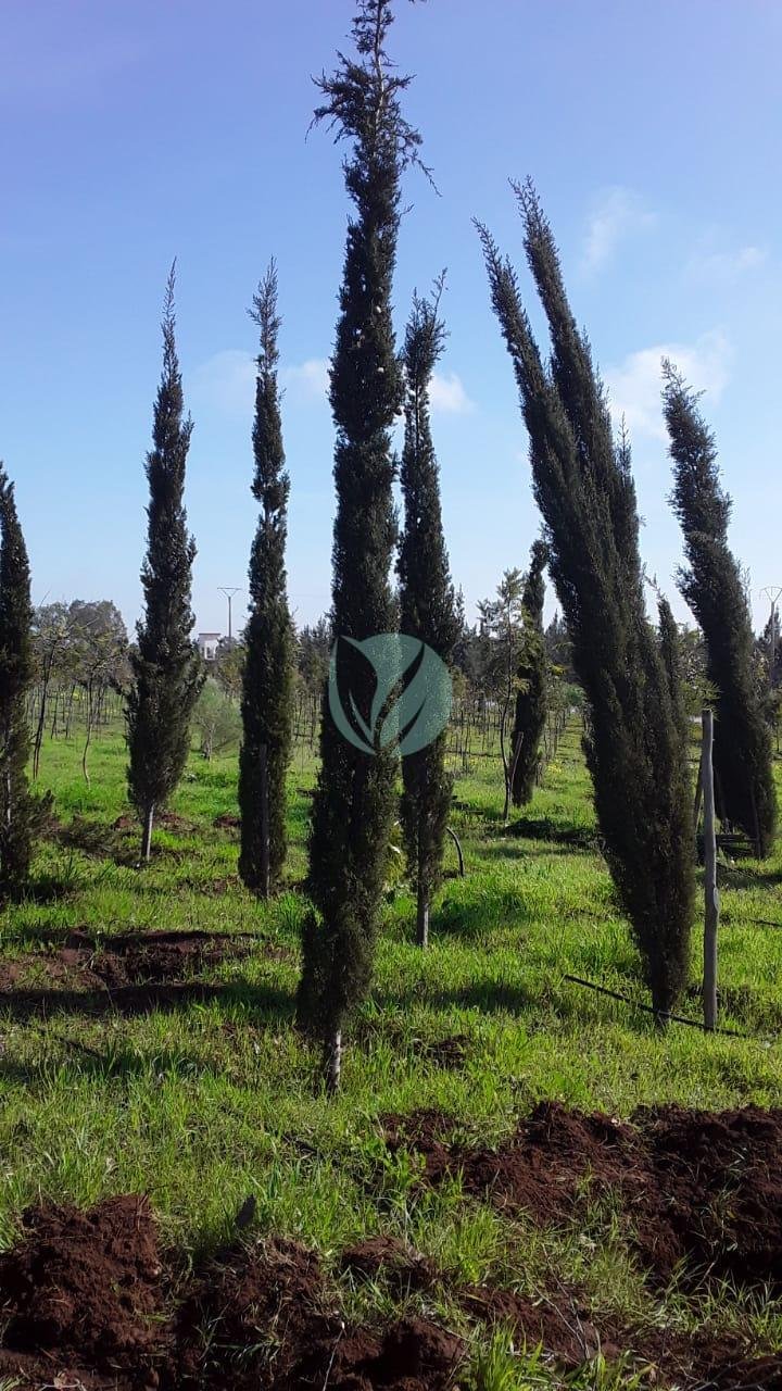 WhatsApp-Image-2021-03-15-at-15.24.47