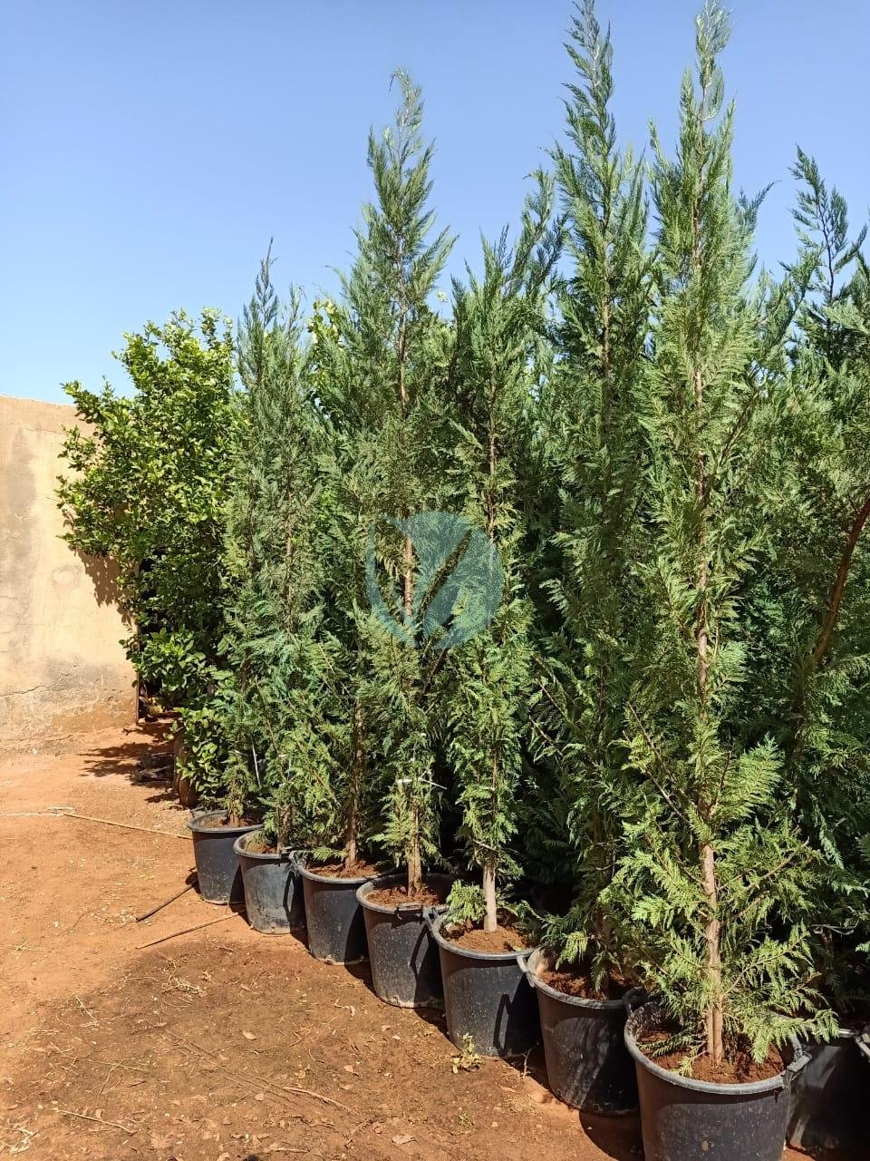 WhatsApp-Image-2021-04-23-at-14.46.46-1