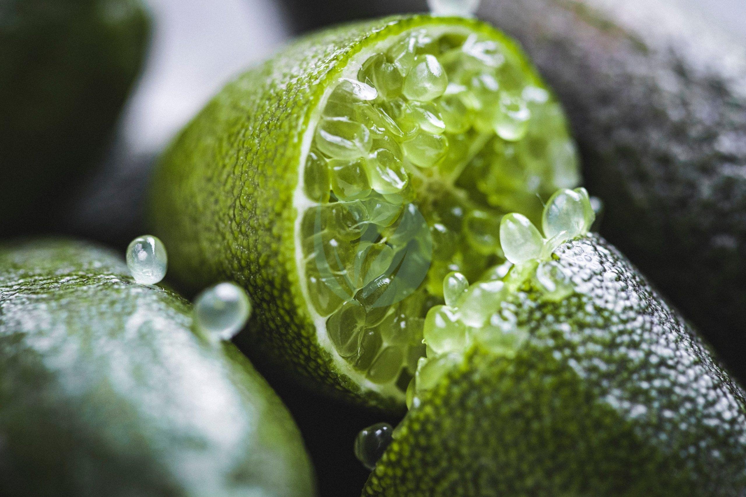 citron-cavair-vert-maroc-scaled-3