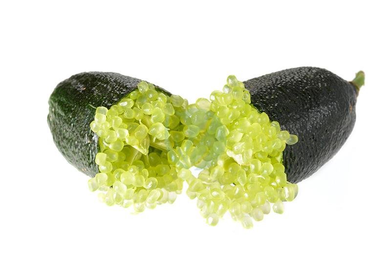 Citronnier caviar vert – Image 3