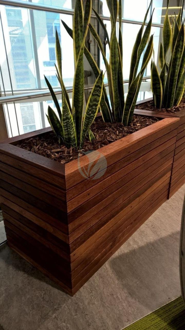 clorofila_realisation_10-3