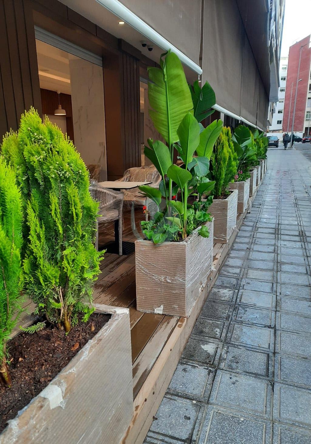 jardiniere-polyester-clorofila-3