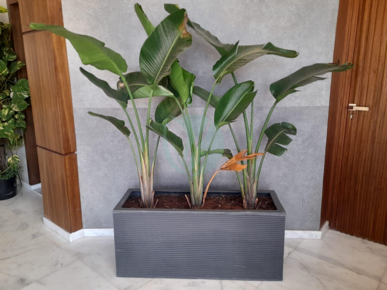 jardiniere-polystone-100-50-50-3