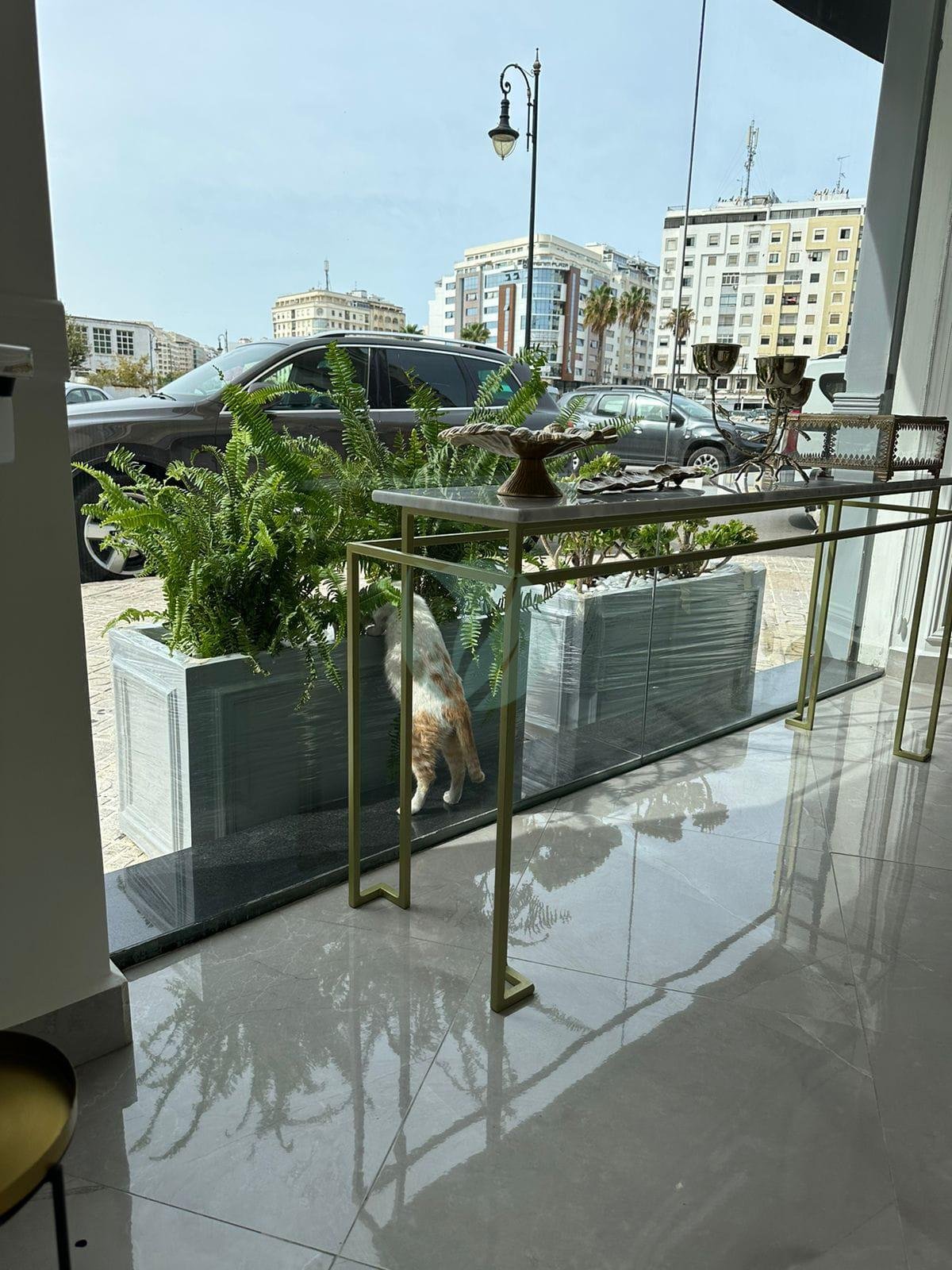 jardiniere-rectangulaire-style-haussmannien-terrasse-3