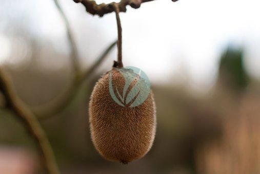 nature-3212520__340-1