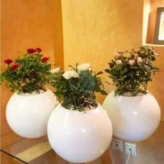 pot-boule-petit-plante-maroc-clorofila-p-10-320×320-26