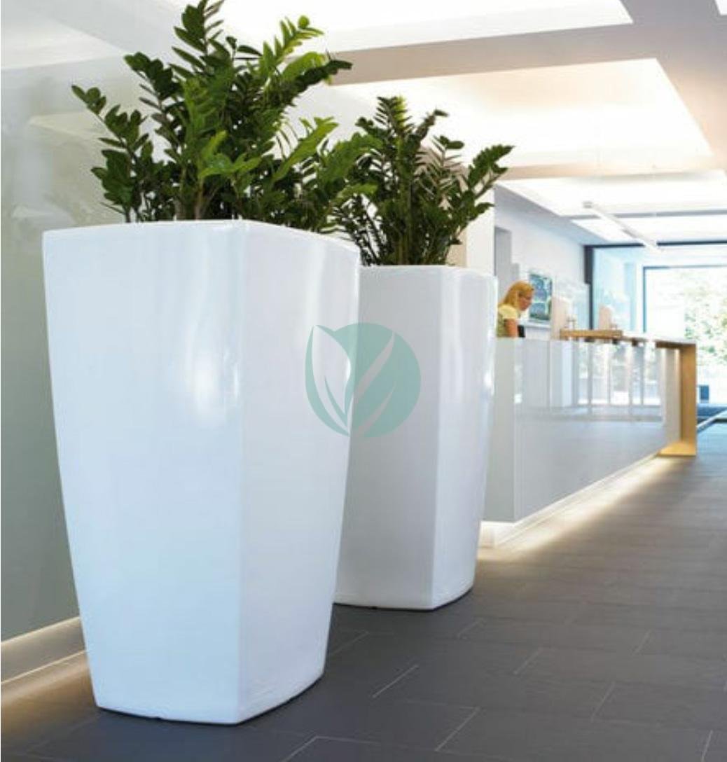 pot-carre-conique-plante-maroc-clorofila-p-12-3