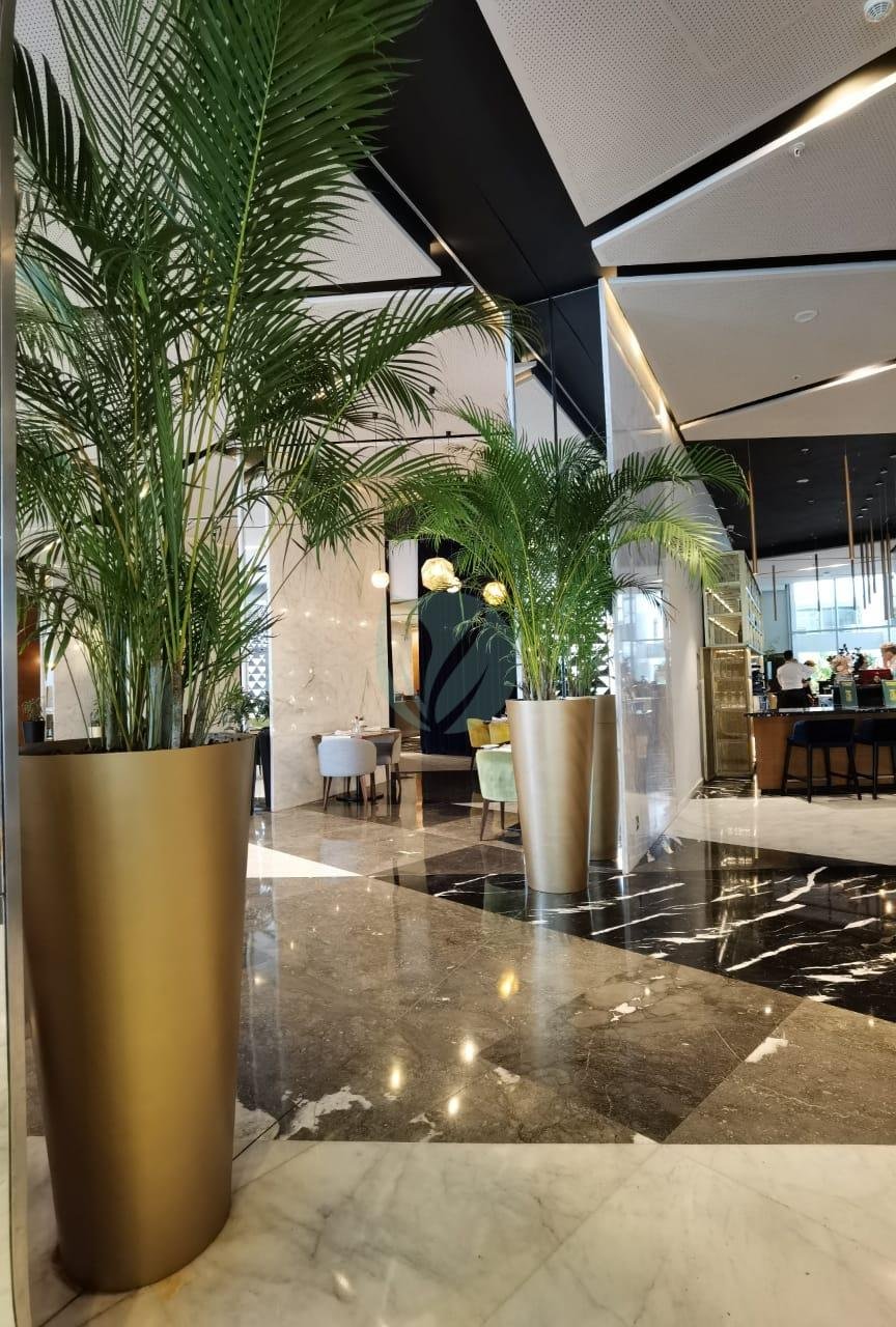 pot-conique-plante-maroc-5