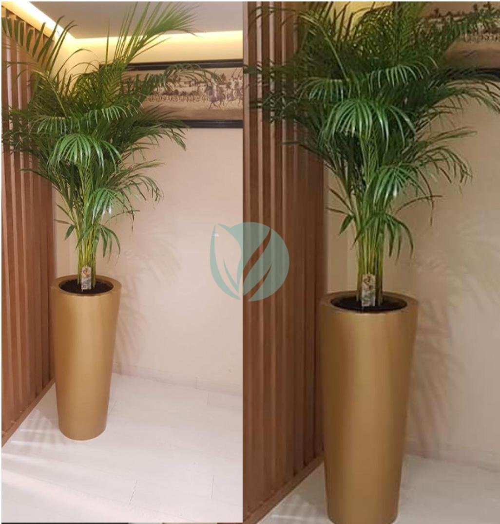 pot-conique-plante-maroc-clorofila-p-14-3