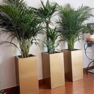 pot-cubique-plante-maroc-clorofila-p-17-320×320-4