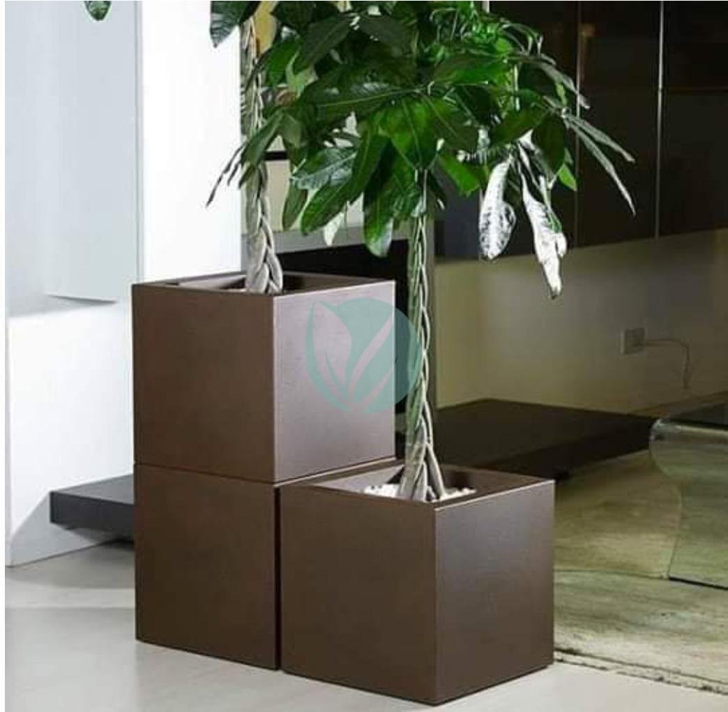 pot-cubique-plante-maroc-clorofila-p-19-3