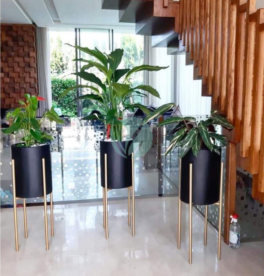 pot-cylindrique-plante-maroc-clorofila-p-16-3