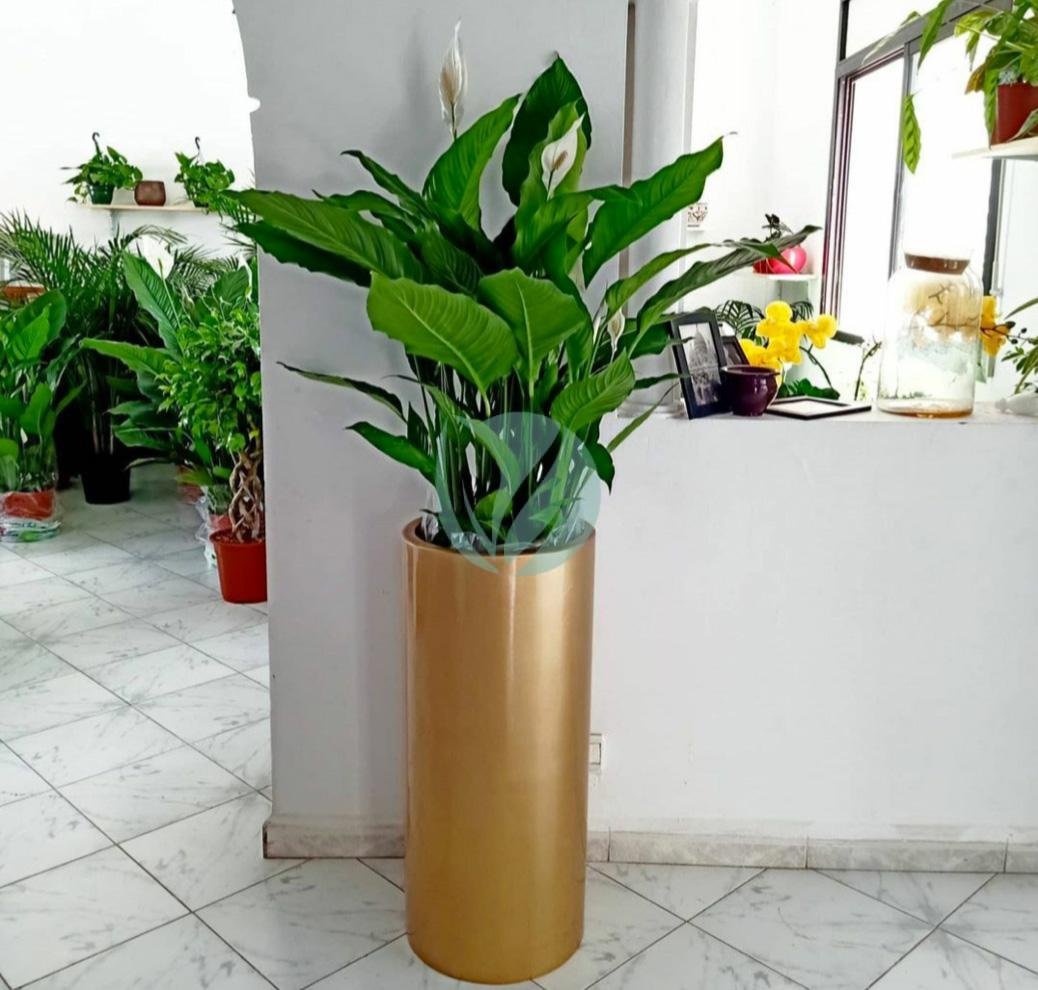 pot-cylindrique-plante-maroc-clorofila-p-20-3