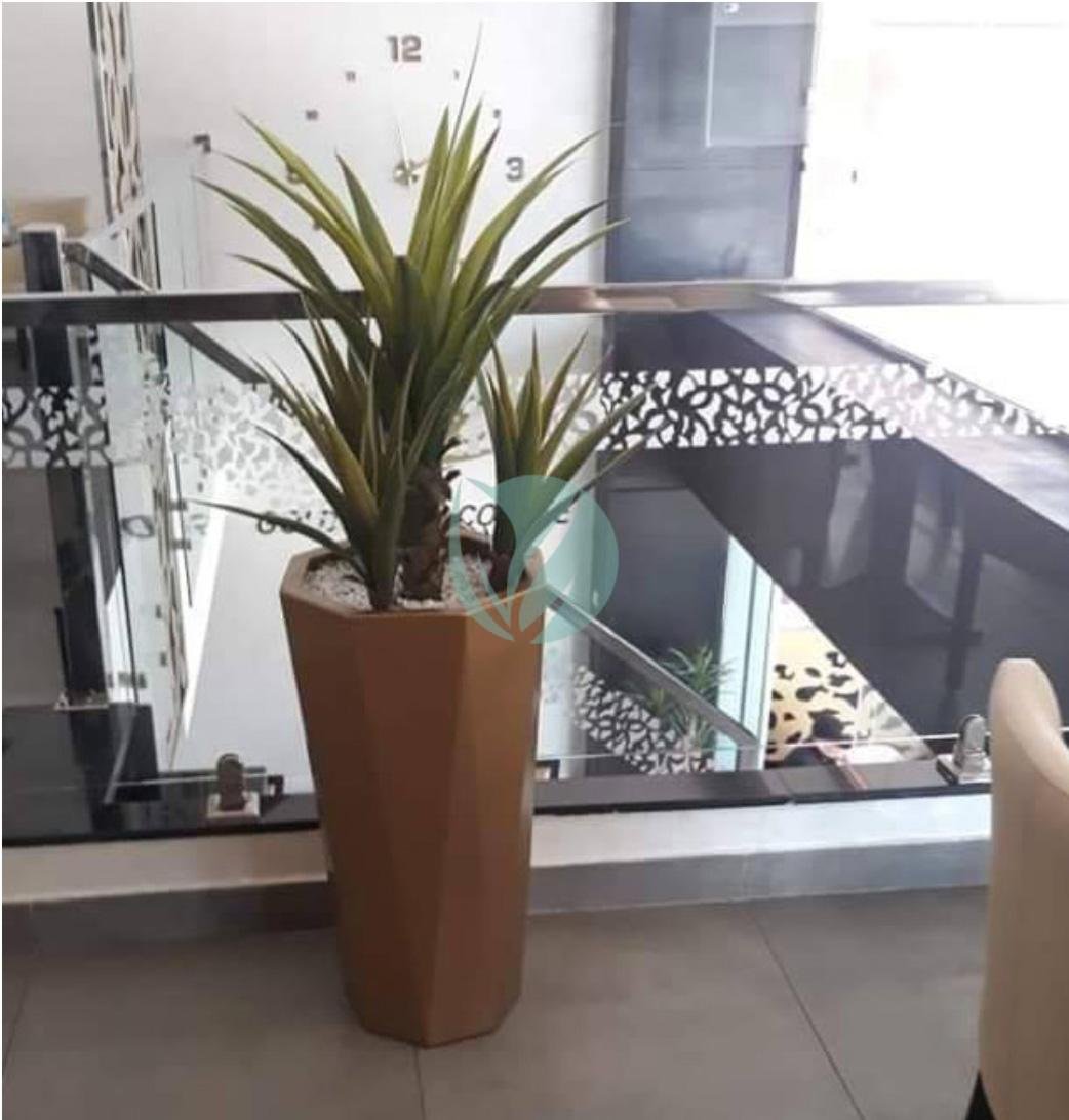 pot-geometrique-plante-maroc-clorofila-p-03-3