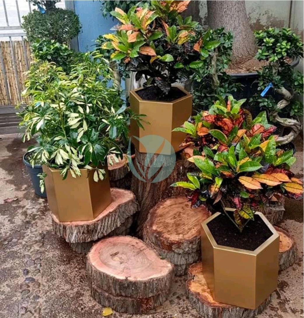 pot-geometrique-plante-maroc-clorofila-p-05-3