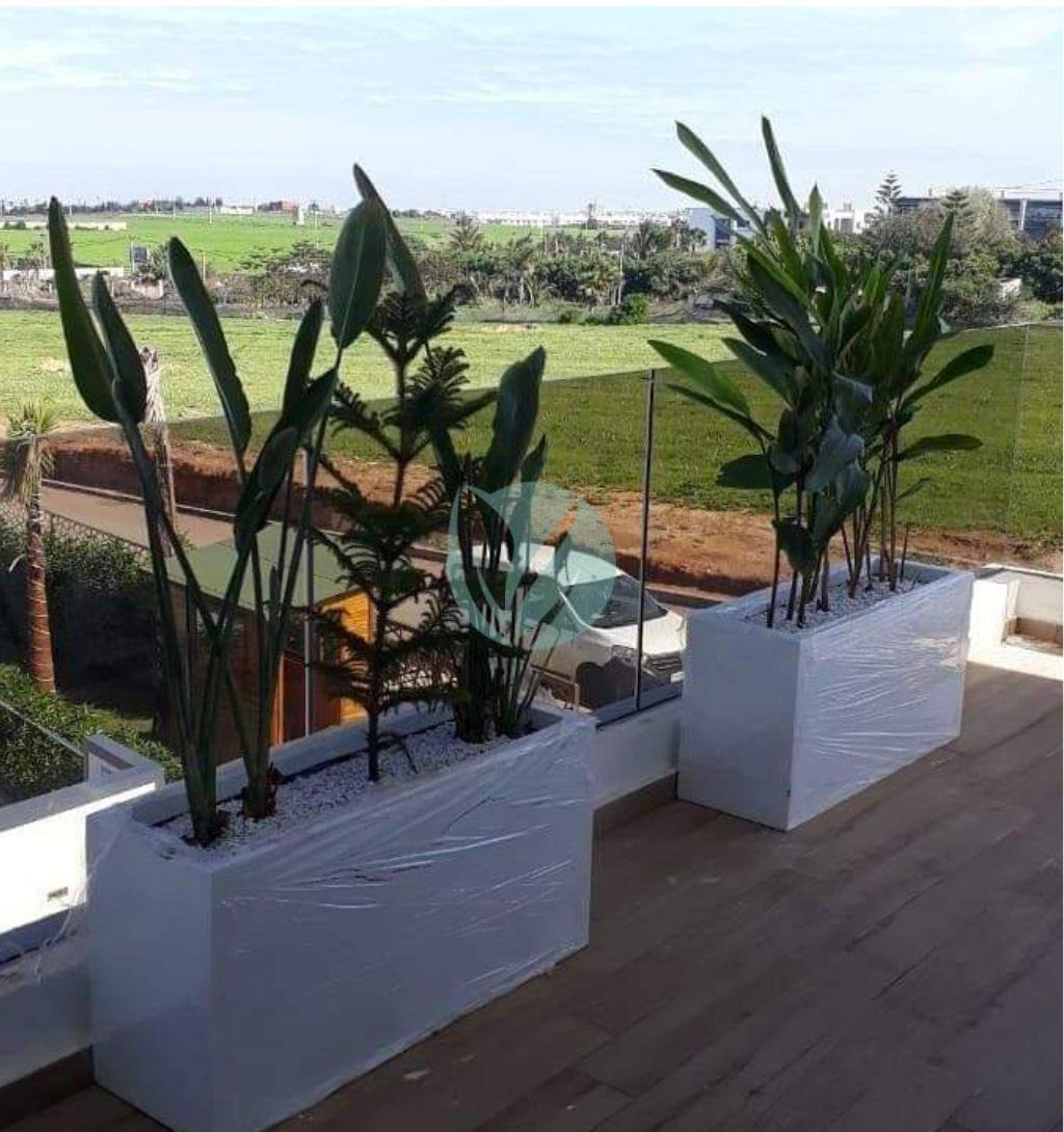 pot-pour-plantes-jardiniere-rectangulaire-maroc-clorofila-j-02-3