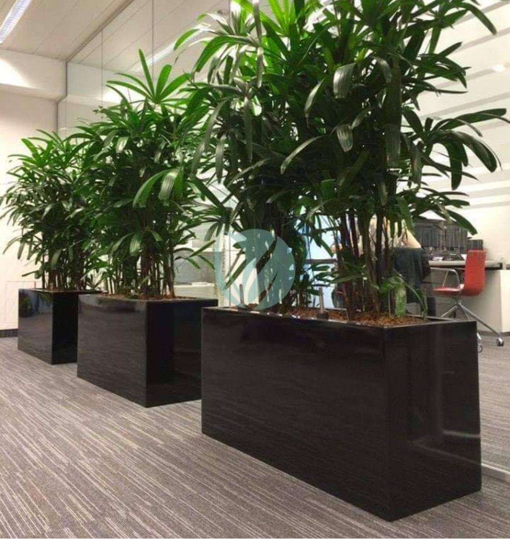 pot-pour-plantes-jardiniere-rectangulaire-maroc-clorofila-j-06-3