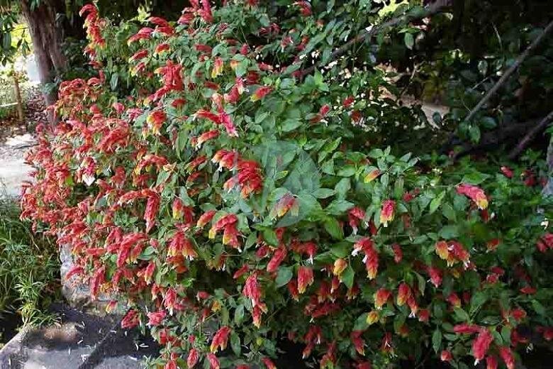 ukv1jNHUrtMLllhfOnl8bPGBoC3G2vO3F5l48xzx